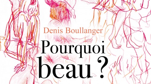 Photo Livre de Denis BOULLANGER