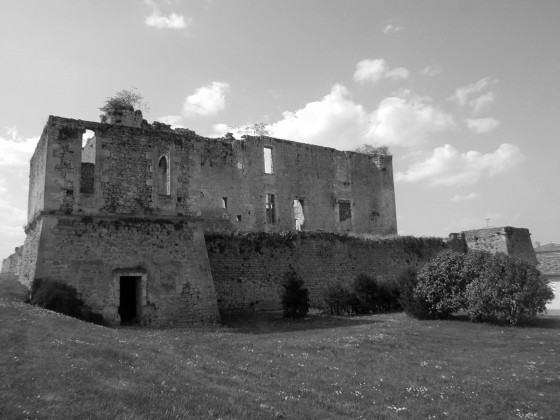 Photo Château de Fargues