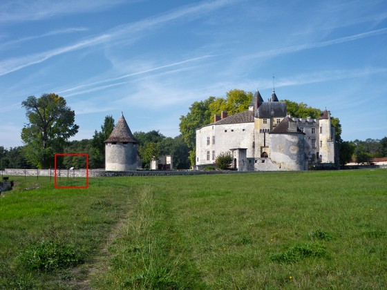Photo Château Montesquieu - Parc Régulier