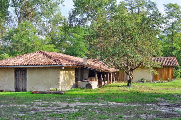 Photo ATELIER DES PRODUITS RESINEUX